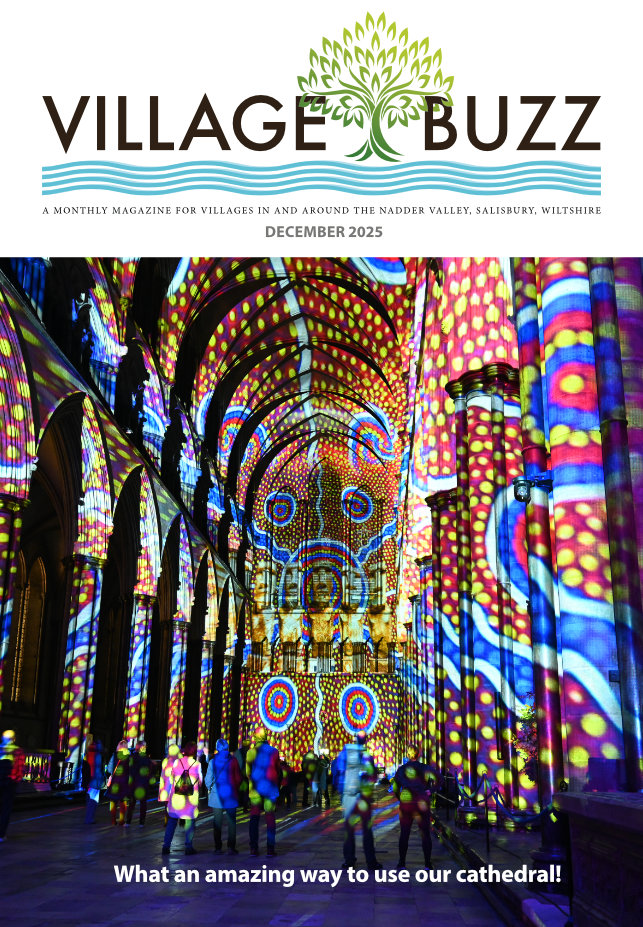 Cover of the December 2025 Village Buzz magazine